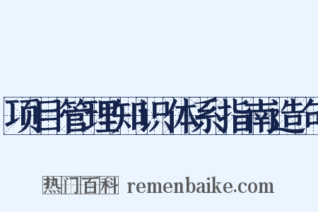 项目管理知识体系指南造句是什么意思的图片